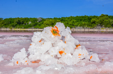 Stones and salt crystals in pink