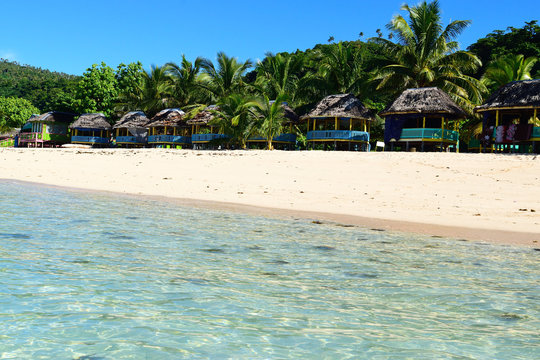 230 Best サモア Images Stock Photos Vectors Adobe Stock