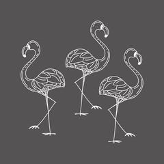 illustration with a set of flamingos silhouettes isolated on gray background