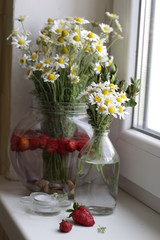Two bouquets of daisies in glass bottles on the windowsill