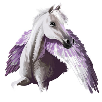 Pegasus digital art illustration isolated on white background