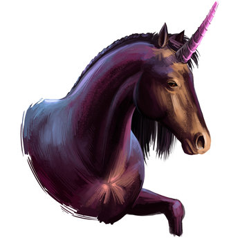 Unicorn digital art illustration isolated on white background