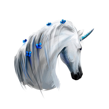 Unicorn digital art illustration isolated on white background