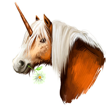 Unicorn digital art illustration isolated on white background