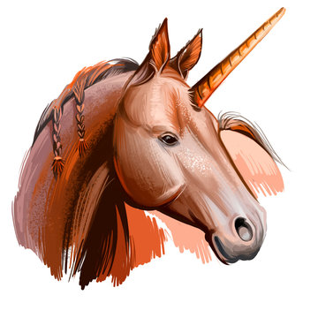 Unicorn digital art illustration isolated on white background