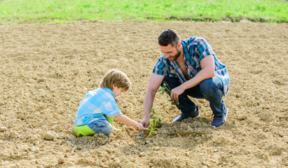 new life. soils fertilizers. rich natural soil. Eco farm. father and son planting flowers in ground. earth day. small boy child help father in farming. happy earth day. Family tree. Water on leaves