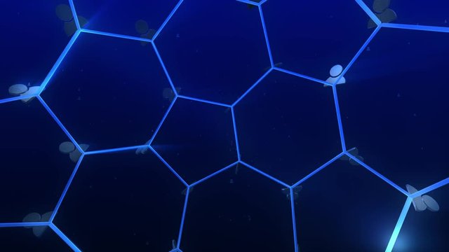 Network connect people With Blue Background loop