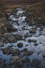 rocks in a stream
