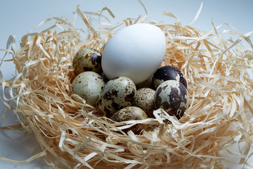 chicken egg and quail eggs in a nest of hay