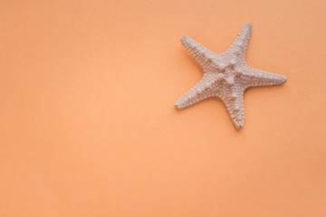 Starfish on an orange background. Sea summer theme
