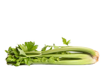 Green organic natural celery isolated on white.