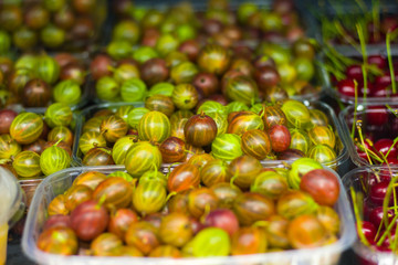 Ripe Gooseberry Close Up