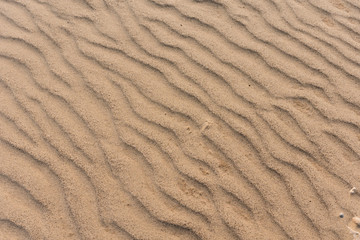 Small white pebbles shine through clay-sandy soil