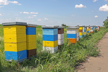 Colorful Beehive
