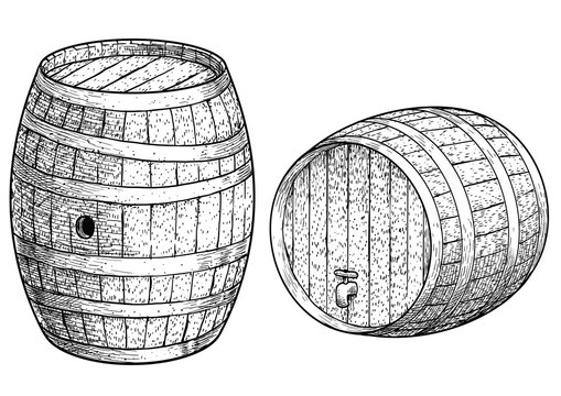 Wooden barrel illustration, drawing, engraving, ink, line art, vector