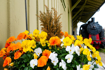 old Train in old Germany