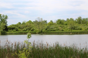 A beautiful view of the lake in the countryside.