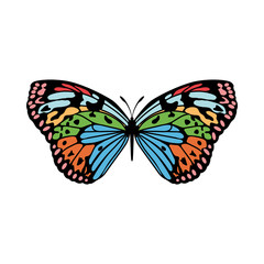 Obraz na płótnie Canvas Butterfly Icon