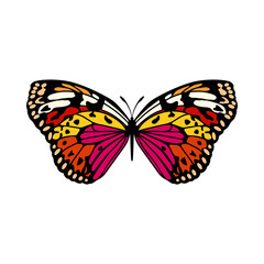 Butterfly Icon