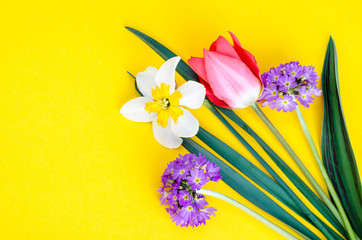 Small bouquet of spring garden flowers on bright background.