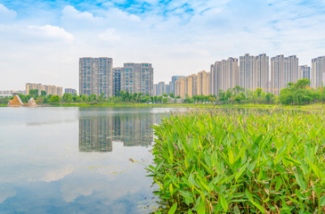 Obraz premium Architectural scenery around Jincheng Lake Park in Chengdu, Sichuan Province, China
