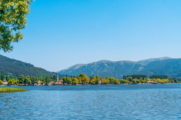 Lake View in Natural Forest