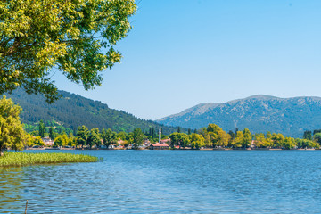 Lake View in Natural Forest