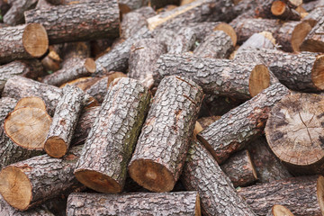 The background of wooden logs.