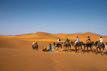 Fototapeta na wymiar Camal Caravan in Sahara Desert in east Morocco