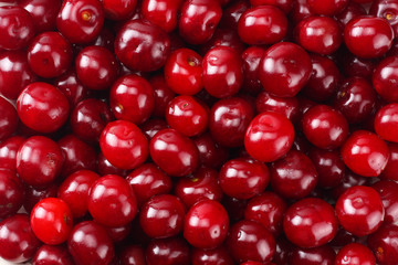 Red juicy cherries background. cherry texture. Top view.