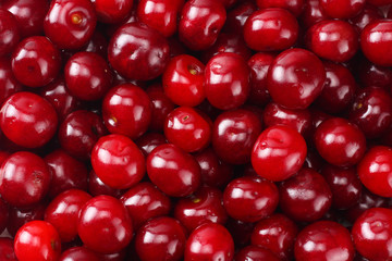 Red juicy cherries background. cherry texture. Top view.