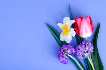 Small bouquet of spring garden flowers on bright background.