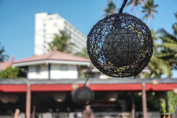Branches of palm trees on a background of forest and sky. Young trees grow in Asia. Stock photo