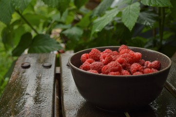 raspberries in a bowl 2