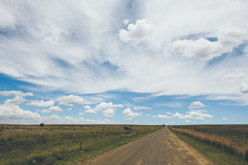 road in field