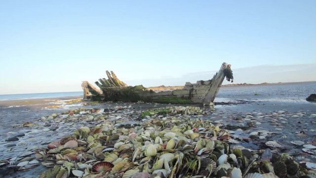 Skeletal Boat Wreck in Village Harbour