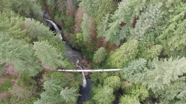 Flying over Lyon Valley in British Columbia. Suspended Bridge and Waterfall Footage
