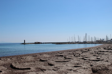 Fototapeta premium Les posidonies sur la plage de Macinaggio