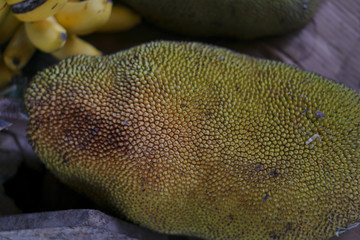 Jackfruit on the market in asian nature. Vegetarian temma for background. Stock photo