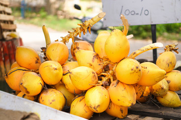 Yellow coconuts are sold on the market in Asia. Sale of vegetarian fruits outdoors. Stock photo