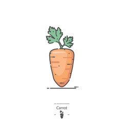 Carrot - Line color icon