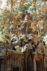 Fototapeta premium Angkor Wat in Cambodia is the largest religious monument in the world and a World heritage listed complex
