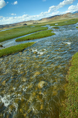 Mongolian Altai.  Scenic valley on the background of the snowcapped mountains.
