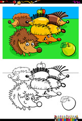 hedgehogs animal characters group color book