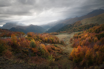 colorful autumn forest in the mountains on a cloudy day