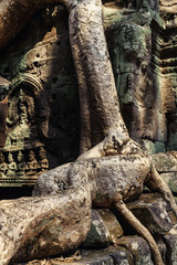 Fototapeta na wymiar Ta Prohm temple. Ancient Khmer architecture under the giant roots of a tree at Angkor Wat complex, Siem Reap, Cambodia