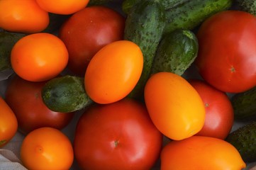 tomatoes and cucumbers