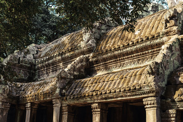 Ta Prohm temple. Ancient Khmer architecture under the giant roots of a tree at Angkor Wat complex,...
