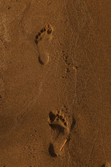 Distinct traces of two legs on bright sand, shot in contrasting evening lighting on the lake