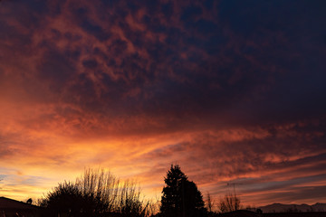 sunset in the forest